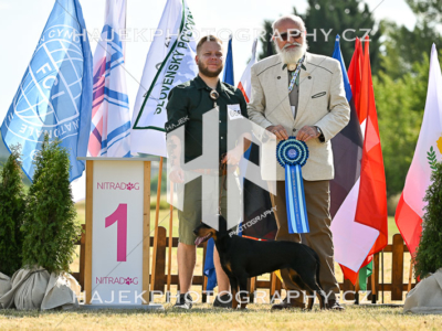 Grand Prix Slovak National breeds